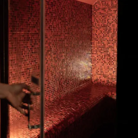 Rouge Par William Frachot - Espace Bien-etre & Restaurant Etoile 4* Dijon